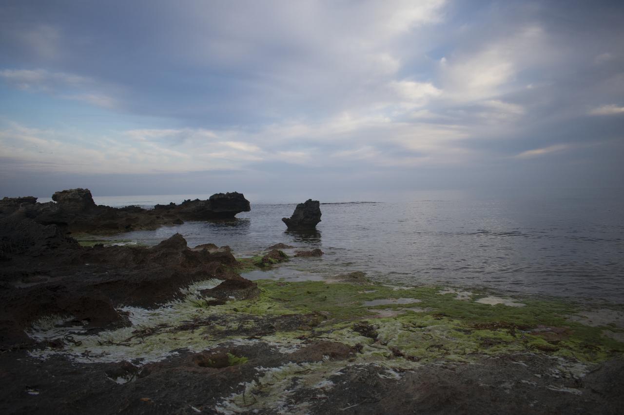 Case Cala Bucerno Castelluzzo Esterno foto